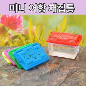 반투명 미니 물고기 어항 채집통