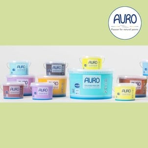 숲속향기 AURO 아우로 No.555 조색(그린계열) 1L(약9㎡시공) 내부용 월페인트 벽지페인트 천연페인트 셀프페인팅