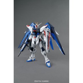 BANDAI SPIRITS MG SEED Ver.2.0 1100 (반다이 스피릿) 기동 전사 건담 프리덤 건담