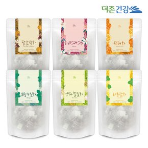 티백 모음전 / 히비스커스/모링가/호박팥차/양파껍질차/진피차