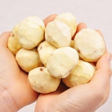 푸르젠 [달하산농장] 부여직송 24년  깐 밤/생율 500g (특,대 혼합)