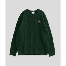 매장정품 라코스테 LACOSTE 케이블 풀오버 다크 그린 AH716M-54N132 1569440