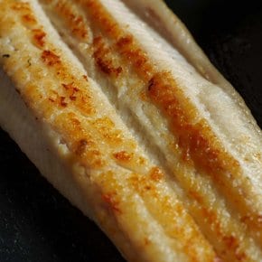 자연산 손질 바다장어 1kg (2-4미)