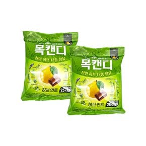 롯데웰푸드 허브민트 목캔디 217g x 2개 / 대용량
