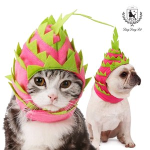 딩동펫 강아지 고양이 패션 모자 드래곤 용과모자