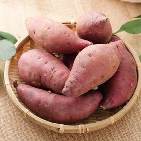 청정해남 세척 꿀고구마 3kg (한입,중,특상,대) /np 우리나라 국민간식 !