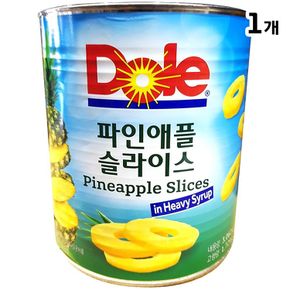 파인애플캔(슬 돌 3.06k)