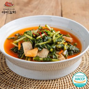 여수 돌산 전라도 열무물김치 2kg
