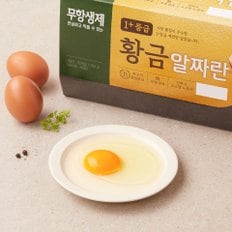 CJ제일제당 무항생제 1+등급 황금알짜란 30구 (대란, 1560g)