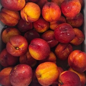 경북 천도복숭아 1kg/6-7과내외