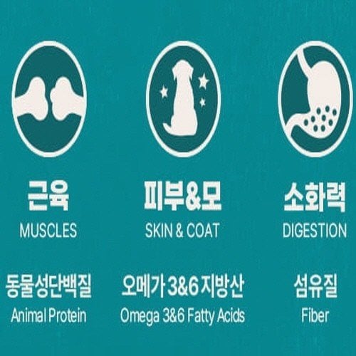 추가이미지