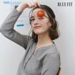 [25SS 최신상] 블루핏 헨리넥 풀오버 3종