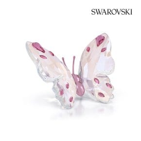 [본사정품/쇼핑백증정] Idyllia 버터플라이 S 5691959