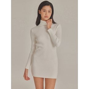 RIBBED HIGH NECK KNIT MINI DRESS_T423DS500