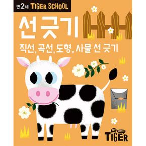 타이거 스쿨 만2세 선긋기 : 직선, 곡선, 도형, 사물 선 긋기