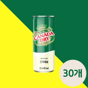 코카콜라 캐나다드라이 진저에일 250ml x 30 토닉워터 탄산음료 탄산음료수 진저에일파는곳 청량음료