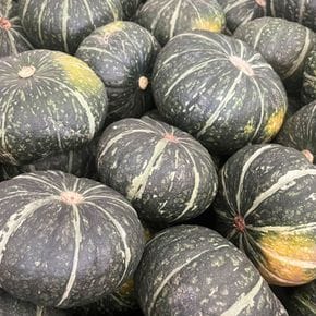 국내산 달콤한 단호박 1.5kg[36106357]