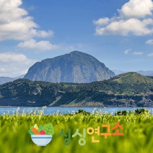 상품이미지4