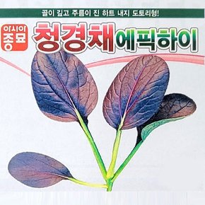 청경채씨앗종자 에픽하이(4000립)