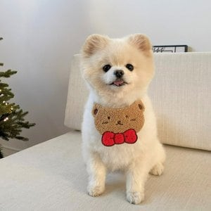 꼴레트멍멍 Hi bear 강아지 고양이케이프 봉쥬르뚜뚜