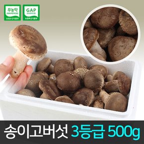 송이고버섯 3등급 500g /당일수확/생산자 발송