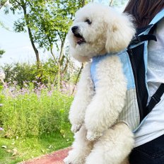 강아지 포대기 반려견 슬링백 고양이 앞가방 애견 이동 산책 가방 숄더백 강아지띠