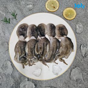 완전손질 쫄깃쫄깃 통 왕쭈꾸미 700g (총 10미)[35059106]