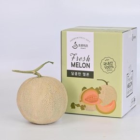 고당도 머스크 멜론 특품 1.5kg (1수)