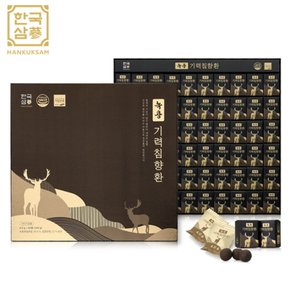 녹용 기력침향환 (4g*60환) / 쇼핑백 포함 / 신속출고
