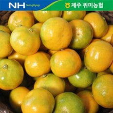 제주 위미농협 하우스감귤 1.5kg(15-25과)/참맛제
