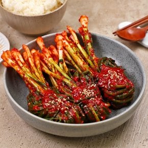 매콤 알싸한 국산 파김치 500g/팩