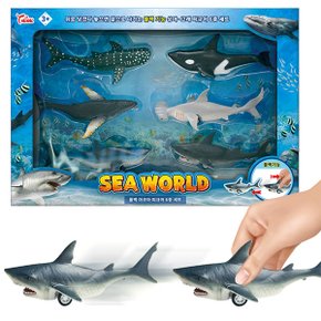 씽크-SEA WORLD 풀백 아쿠아 피규어 6종세트