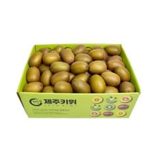 제주 골드키위 벌크 5kg