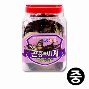 곤충의세계 중 동물완구 장난감 동물모형 학습완구 동물학습