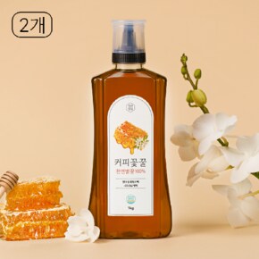 (G)청년벌집 커피꽃꿀 1kg x 2개 천연벌꿀 자연벌꿀 토종꿀