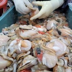 NS홈쇼핑 횟감용 당일조업 손질 키조개 1kg[35079921]