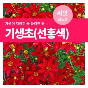 기생초 (선홍색) 꽃씨앗 200립