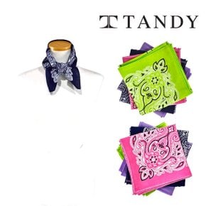 TANDY 페이즐리 다나 손수건 스카프