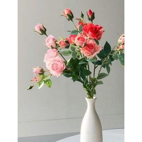 5송이 롱장미 조화