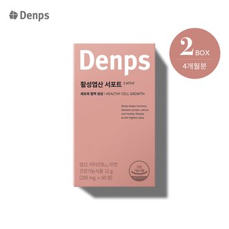 덴프스 활성엽산 서포트 4개월 2BOX