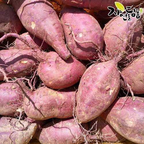 상품이미지3