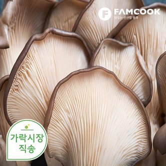 팸쿡 가락시장직송 느타리버섯 1팩 (500g)