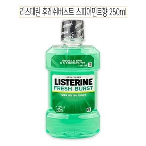 리스테린 후레쉬버스트 스피아민트향 250ml O