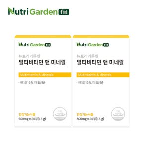 [뉴트리가든핏] 멀티비타민 앤 미네랄 21종 멀티 기능성 2박스