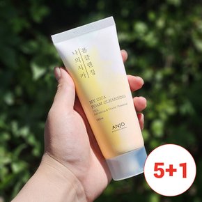 5+1 산뜻한 촉감 나의 시카 폼클렌징 100ml