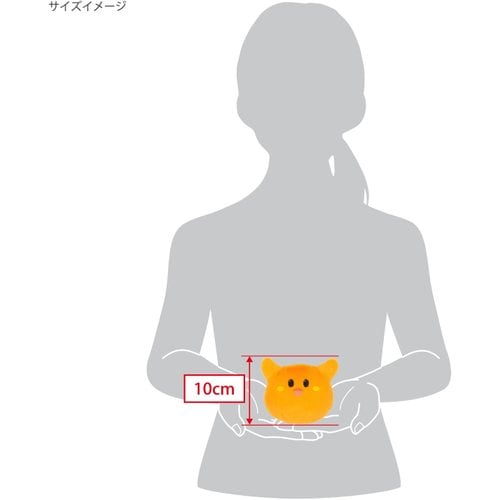 추가이미지5