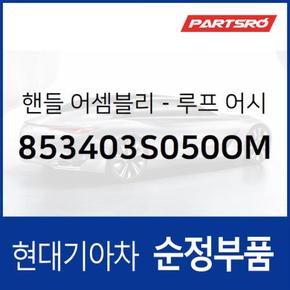 실내 천장 손잡이 (루프 어시스트 핸들) 앞좌석,운전석쪽 (853403S050OM)  맥스크루즈 현대모비스 부품몰