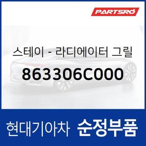 라디에이터 그릴 스테이,센터 (863306C000)  메가트럭, 메가 트럭 특장