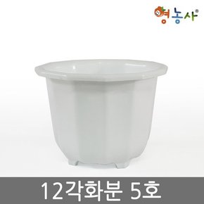 12각화분 5호 / 플라스틱화분 인테리어 분갈이