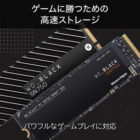 웨스턴 디지털 SSD 2TB WD 블랙 SN750 NVMe WDS200T3XHC-EC 웨스턴 디지털 내장 히트싱크